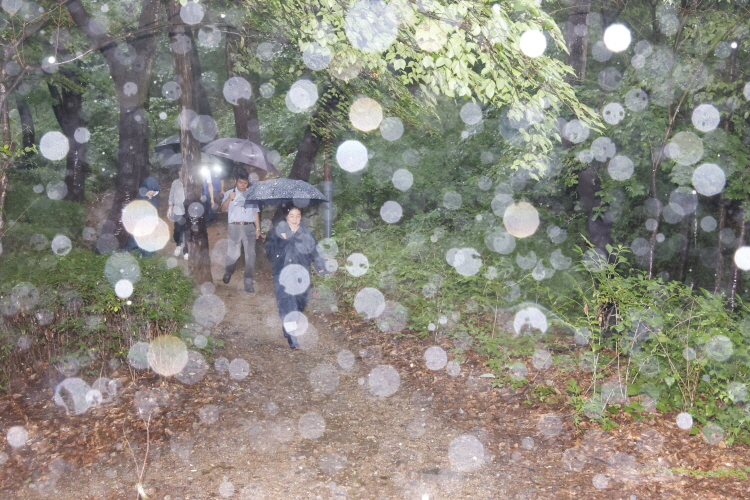 봉산 무장애 숲길 산림사면 현장점검 이미지