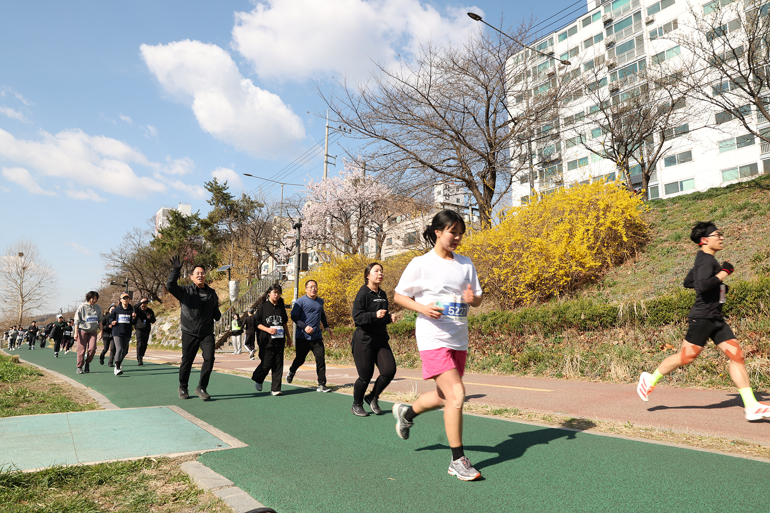 2025년 은평구 벚꽃 마라톤 대회-2 이미지