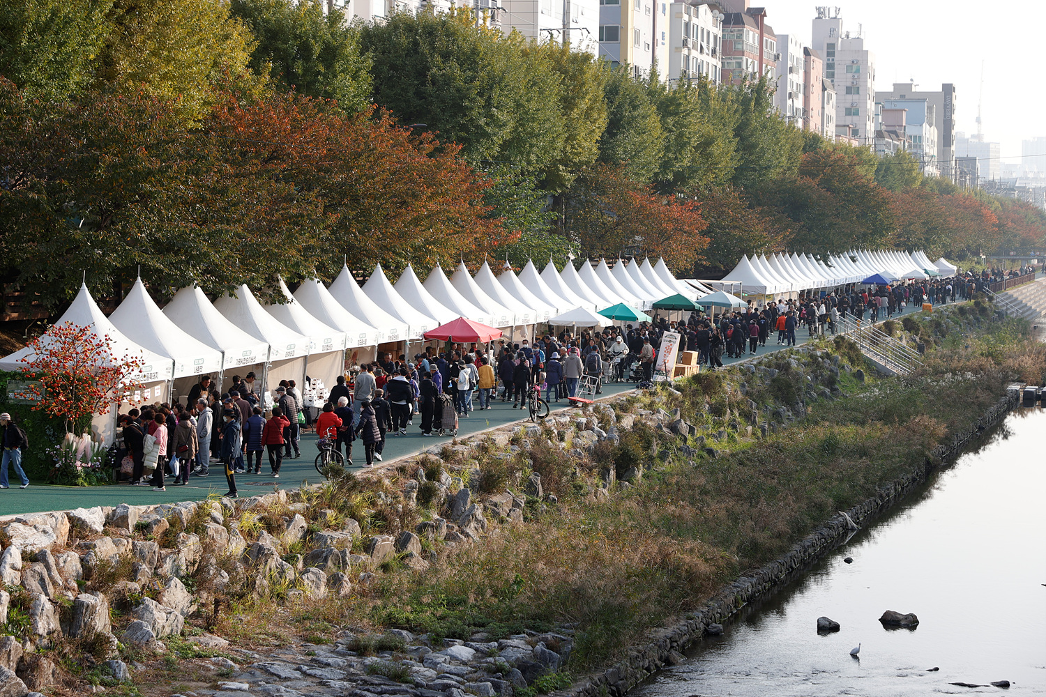 2025년 김장철 맞이 직거래 한마당 이미지