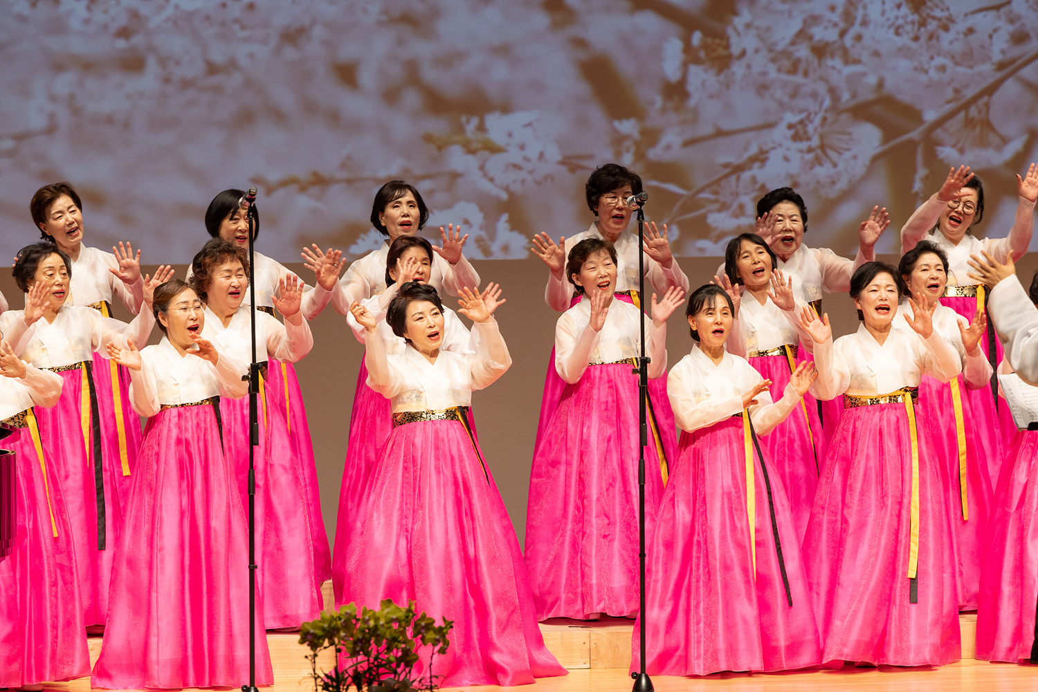 제9회 은평청춘합창단 정기연주회 이미지