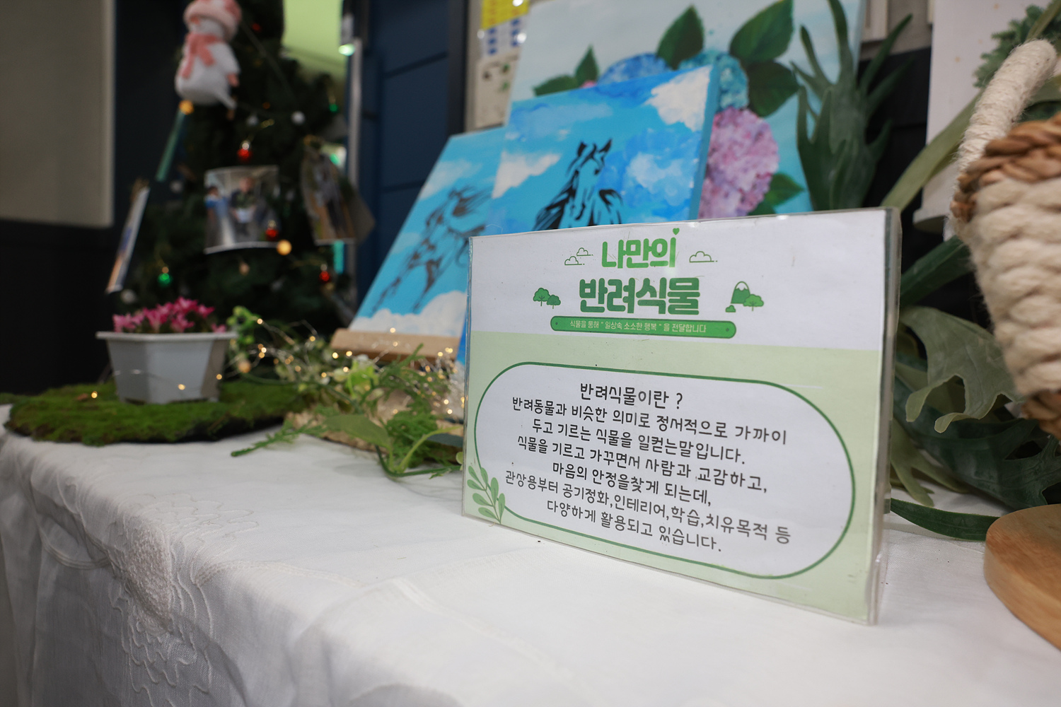 2025년 반려식물 작품 전시회 이미지