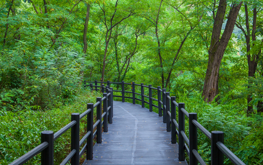 Mt. Bukhansan Trail