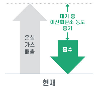 현재 - 온실가스배출 증가로 대기중 이산화탄소 농도 증가, 이산화탄소 흡수량 적어짐 /